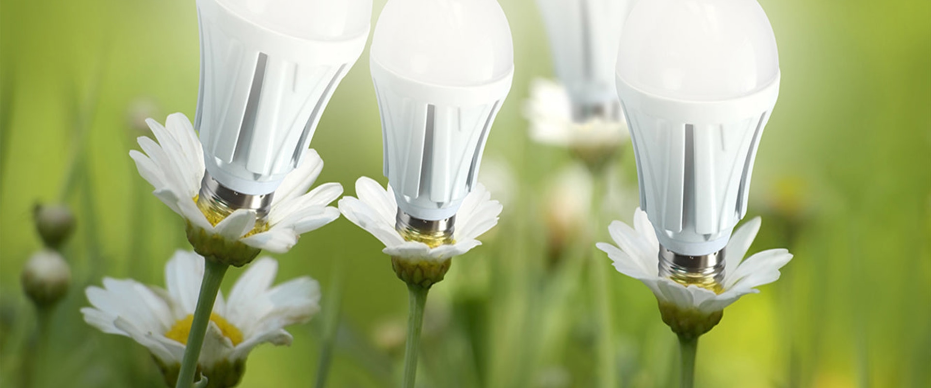 The Benefits of Switching to Energy Efficient Lighting